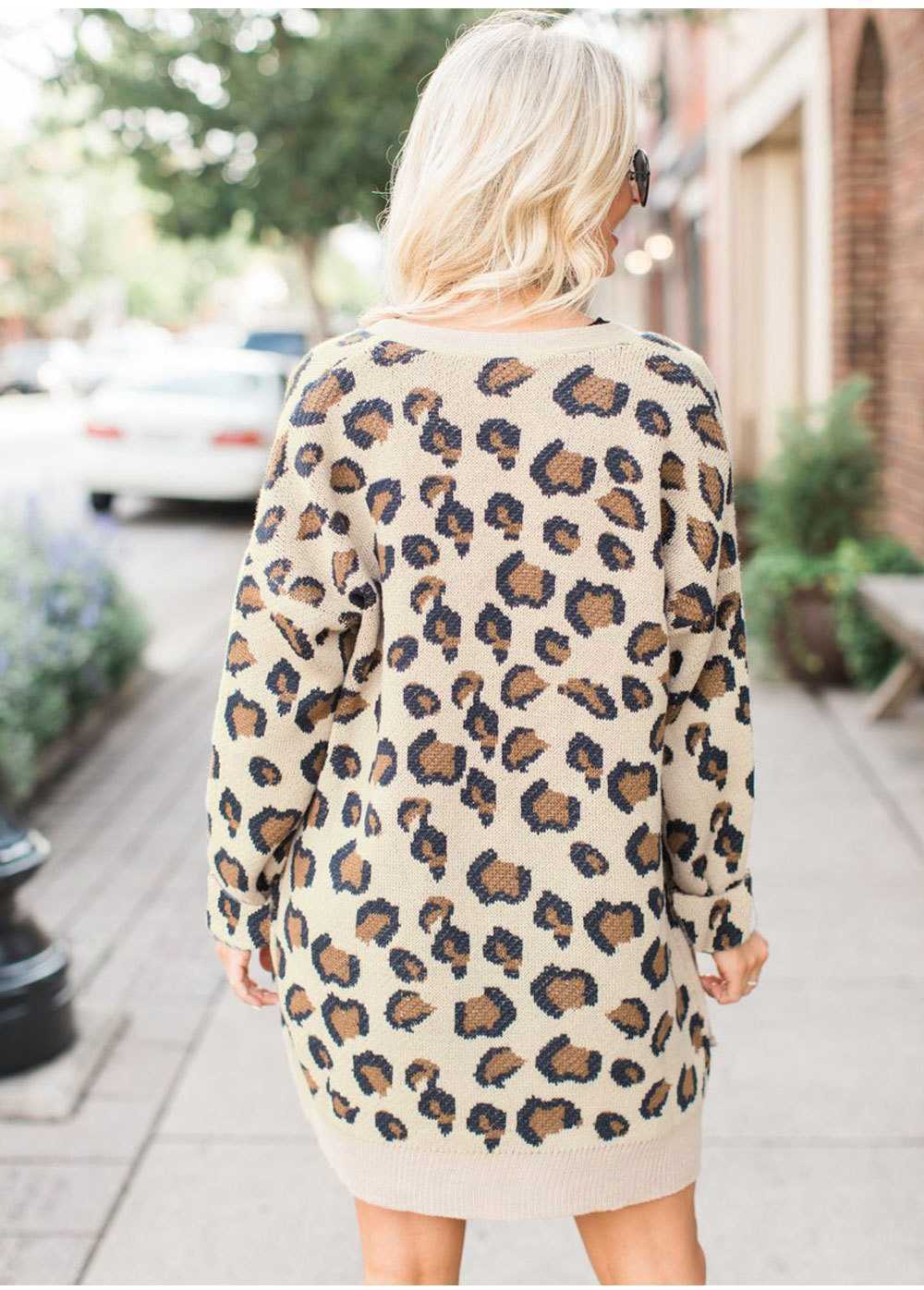 Retro Leopard