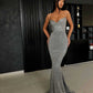 Classy Glitter Silver