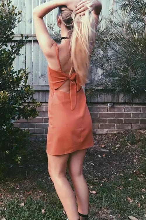 Solid Color Back